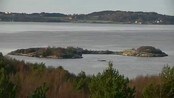 Fugløya i Kristiansund (Foto: Eirik Haukenes/NRK)