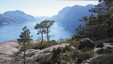 Miniatyrbilde til Bakken gard