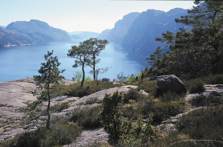 Få minutters gange fra gården er det flott utsikt mot Lysefjorden