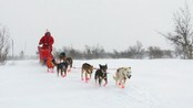 Seks rusmisbrukere starter i Femundløpet - Fra serie om elever på Frankmotunet som del av rusbehandling får kjøre Femundløpet. 