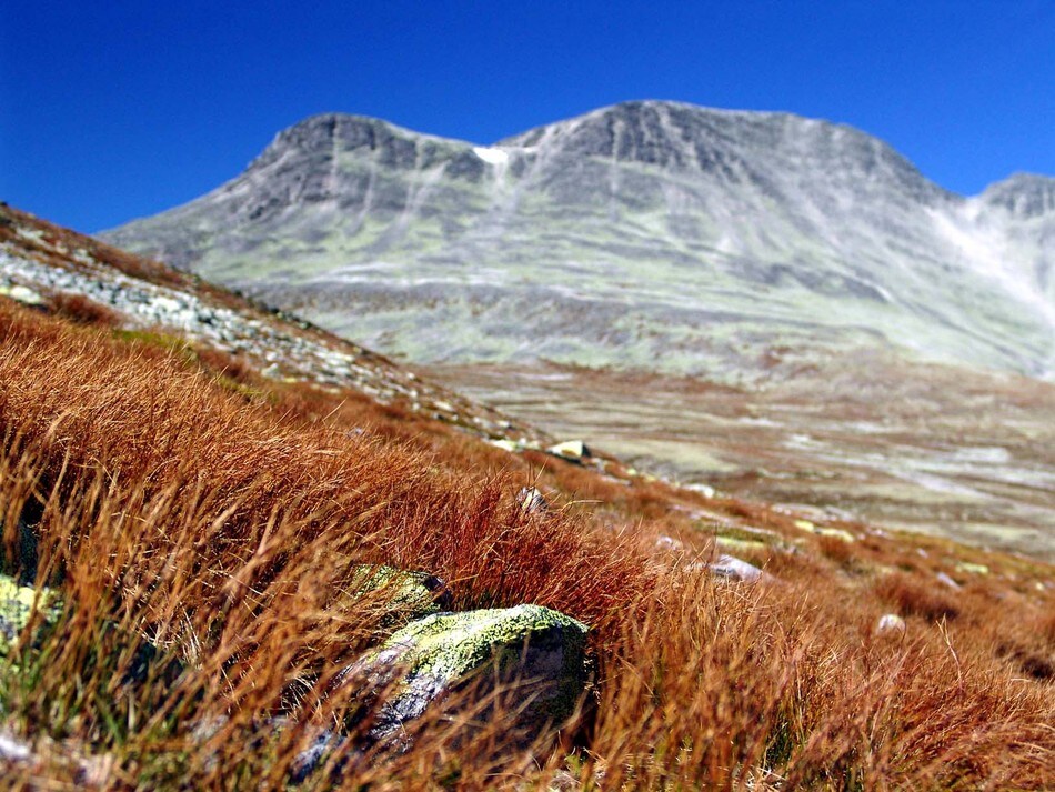 Høst i Rondane
