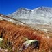 Høst i Rondane
