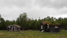 Storgrytdalseter 25. juni 2010