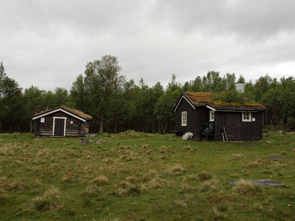 Storgrytdalseter 25. juni 2010