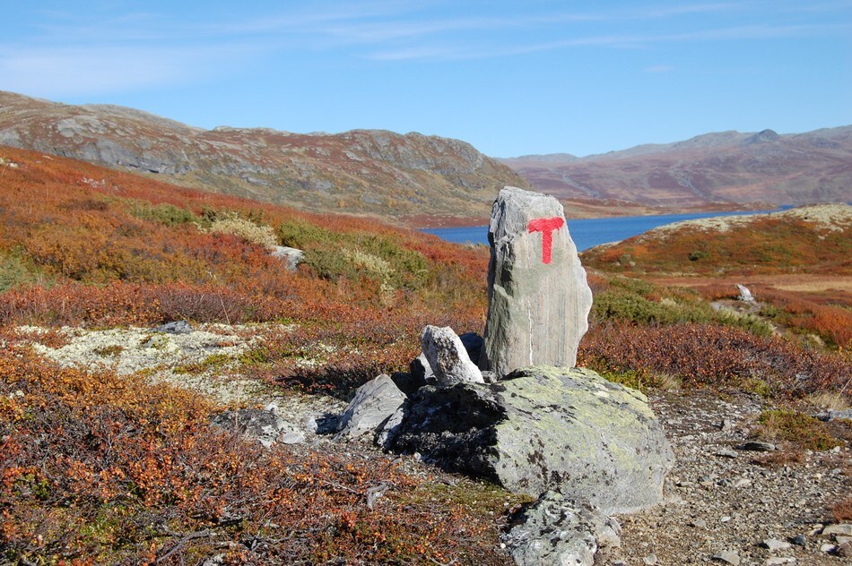 Varde i Skarvheimen