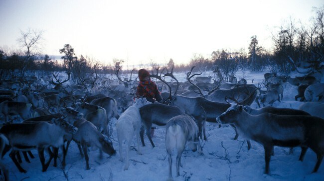 Illustrasjonsfoto (Foto: Holmberg, Bjørn-Owe/Scanpix) Illustrasjonsfoto (Foto: Holmberg, Bjørn-Owe/Scanpix)