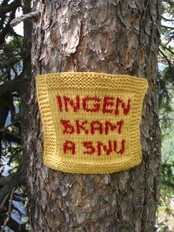 Ingen skam å snu (Foto: Gerd Strand)