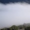 Slik lå tåka over Ofotfjorden i dag. Mellom Narvik og Ankenes.