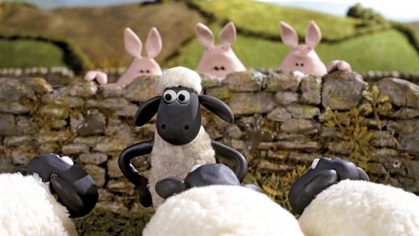 Sauen Shaun