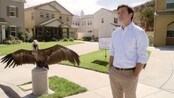 Intervju: – «Arrested Development» blir annleis - Tobias, Buster, George-Michael og Maeby er spent på korleis publikum vil motta den fjerde sesongen av tv-serien.