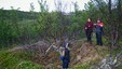Ved Gollevárre villreinfangstanlegg 
finner man ialt 530 fangstgroper. Det gjør dette fangstanlegget til 
Finnmarks største. Gropene har opprinnelig vært fra 1,5 - 2 meter dype og 2 
- 4 meter i diameter.