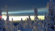 Herlige vinter på Hedmarken!