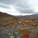 Nydelige høstfarger på Pyttbua. Flott terreng og flott hytte. 11. september 2010