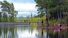 Ved Baklidammen i Bymarka i Trondheim (Foto: Tor Beisvåg) Ved Baklidammen i Bymarka i Trondheim (Foto: Tor Beisvåg)