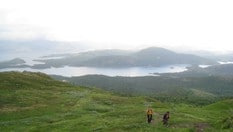 Turen opp til Sæterfjellet fra Sæterlandet/Velfjorden går i et grønt og frodig landskap.