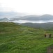 Turen opp til Sæterfjellet fra Sæterlandet/Velfjorden går i et grønt og frodig landskap.