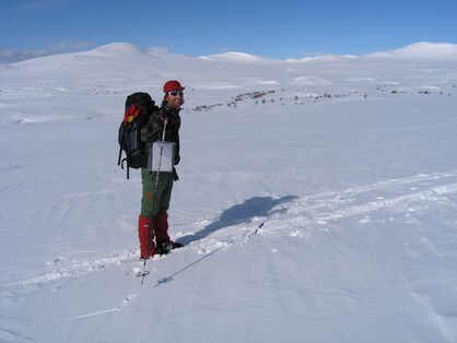 Bjørnhollia