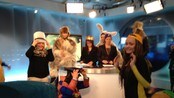 BRUKE-HarlemShake - From InfoDispatcher.SingleFileImporter