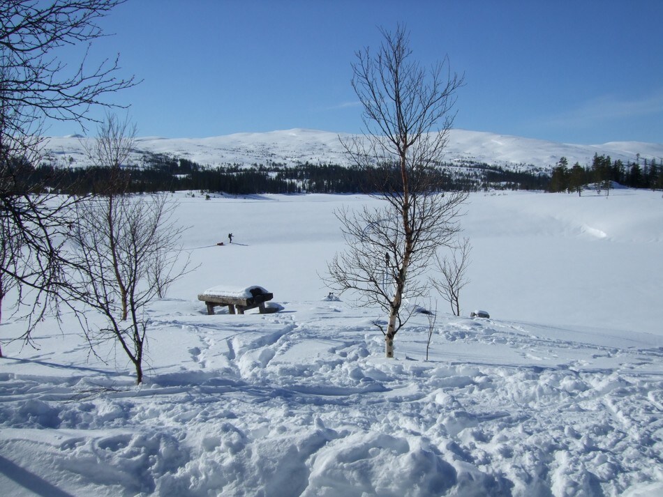 Angeltjønnhytta