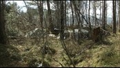 Har tigga i seks år - To familiar som har tigga i Ålesund Molde og Kristiansund i 6 år seier dei fortsatt prøver å tene penger til bustad heime i Romania.  No bur dei i ein liten skog innanfor Ålesund. Der lever dei under uverdige forhold  