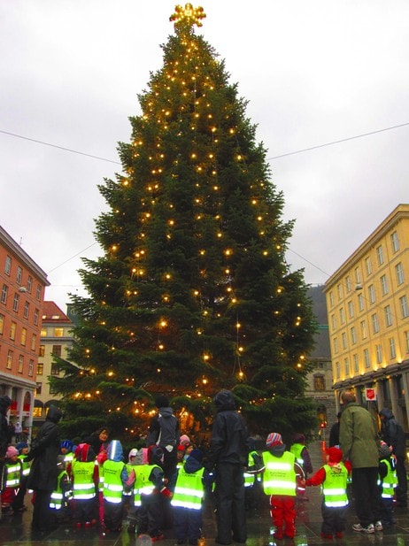 Julegrana på Torvallmenningen i Bergen.  (Foto: Marit Elin Kemi/NRK)