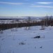 Skriurusten