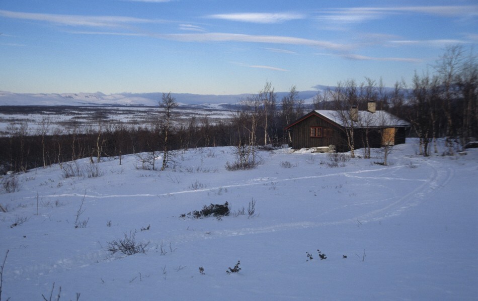 Skriurusten