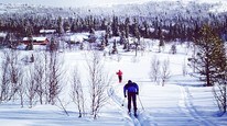 Vinter 2014 (Foto: Irene Hegge Guttormsen)