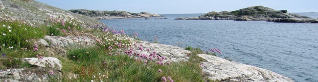 Sørlandskysten er et flott skue (Foto: Stokkeland, Kai/Foto: Kai Stokkeland/NRK) Sørlandskysten er et flott skue (Foto: Stokkeland, Kai/Foto: Kai Stokkeland/NRK)