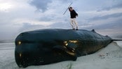 Moby Dick (Foto: MICHAEL KOOREN/REUTERS) Moby Dick (Foto: MICHAEL KOOREN/REUTERS)
