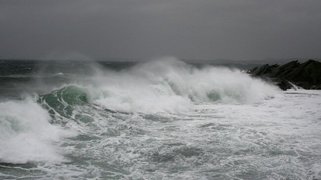 Storm (Foto: Mari Rollag Evensen/NRK)