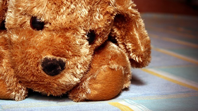 Bamse (Foto: ScanStockPhoto) Bamse (Foto: ScanStockPhoto)
