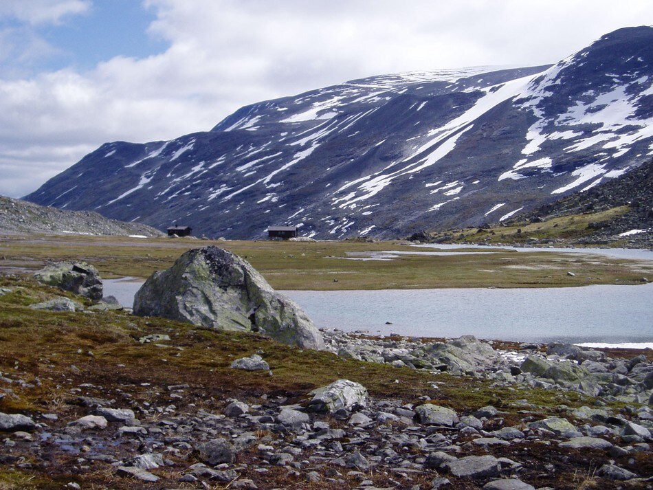 Trulsbu