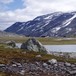 Trulsbu