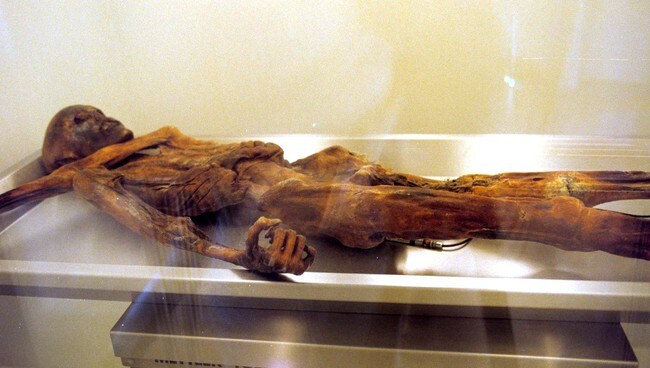 Steinaldermannen Ötzi (Foto: SIMONE CREPALDI/AP) Steinaldermannen Ötzi (Foto: SIMONE CREPALDI/AP)
