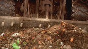 Matavfall (Foto: Anne Wirsching/NRK)
