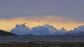 Kari Schibevaag kiter i Lofoten - Kari Schibevaag kiter i Lofoten