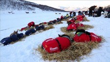 Levajok (Foto: Jan-Harald Tomassen)