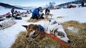 Finnmarksløpet live - Live-sending fra Finnmarksløpet.