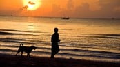 Mann med hund (Foto: Illustrasjonsfoto: Colourbox) Mann med hund (Foto: Illustrasjonsfoto: Colourbox)