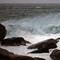 Ask fotografert mellom Henningsvær og Rørvik i dag.