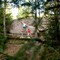 SKOG: De beste steinene skjuler seg inne i skogen et sted.