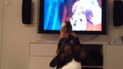 Video Hunden Ida synger opera (Foto: Nyhetsspiller) Video Hunden Ida synger opera (Foto: Nyhetsspiller)