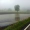 Flere jorder i Vestfold er fullstendig oversvømmet. Her fra Re i Vestfold Flere jorder i Vestfold er fullstendig oversvømmet. Her fra Re i Vestfold