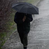 Det går mot regnrekord i Bergen (Foto: Richardsen, Tor/SCANPIX) Det går mot regnrekord i Bergen (Foto: Richardsen, Tor/SCANPIX)
