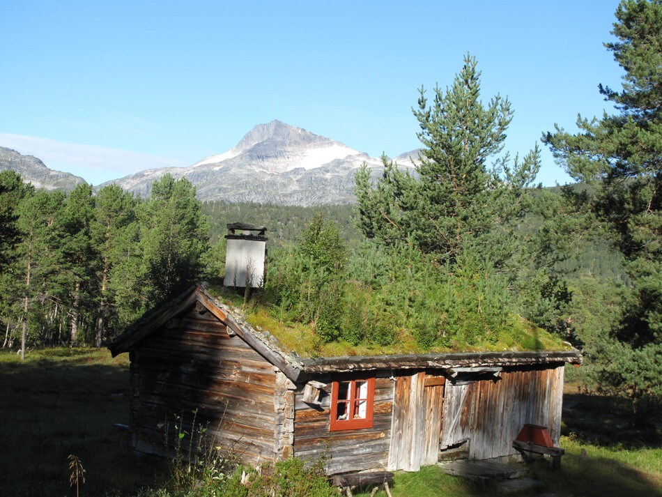 Det er vakkert på Trollheimshytta. På gode værdager er det gjester også her. Et helt spesielt tun for glade fjellvandrere