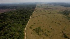 Brasils regnskoglov - Amazonas (Foto: Andre Penner/Ap) Brasils regnskoglov - Amazonas (Foto: Andre Penner/Ap)