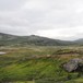 Forollhogna
