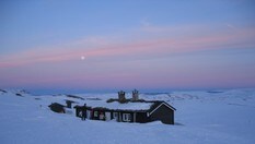 Storkvelvbu