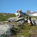Snota